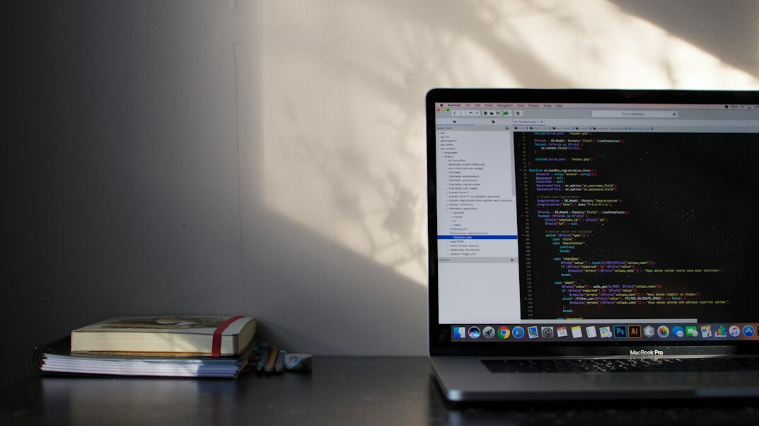 software developer coding